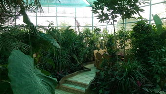 郎岱生態園 一個集美食、納涼與休閑于一體的好去處